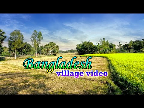 Bangladesh Village Raw Video Footage With Bangla Instrumental Music। গ্রাম বাংলা। BD Shomachar