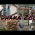 Dhaka Zoo tour…. #bangladesh #dhaka #zoo #animals #travel #dhaka_news #birds #trending #travelvlog