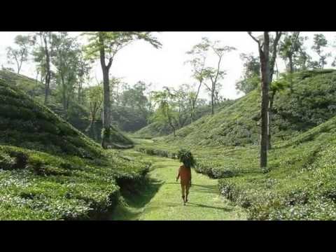 Sadhok Chan Miah, Bangla Folk Song, Bangladesh Dhire Dhire Jaio   YouTube