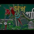 সুখ পাখি_shuk Pakhi|মন মজাইয়া আমি| (Slowed Reverb) Bangla Song