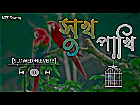 সুখ পাখি_shuk Pakhi|মন মজাইয়া আমি| (Slowed Reverb) Bangla Song