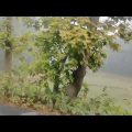 #views #viralvideo #travel #bangladesh #nature #wintermorning
