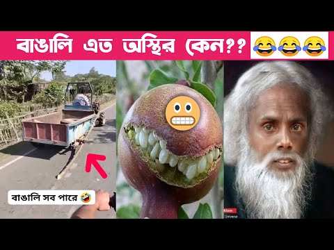 অস্থির বাঙালি Part 03😂 osthir bengali | funny video | funny facts | facts bangla | mayajaal মায়াজাল