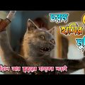 শয়তান বিড়াল যখন কুকুরদের সাথে মাইন্ড গেম খেলে 😂 Cats and Dogs 2001 Movie Explanation Haunting Bangla