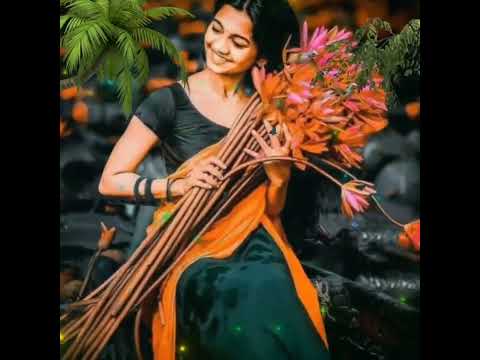 Bangla song|| মায়ার ফান্দে কইরা বন্দী করল পাকি প্রেমে সন্দি রে||#my #friends #video