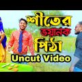 Uncut Of চাচি আম্মার শীতের পিঠা Bangla Funny Video Family Entertainment bd Desi Cid Funny Video