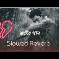 Pagli Re Slowed Reverb || পাগলি রে || New sad song bangla | Bangla new song 2023