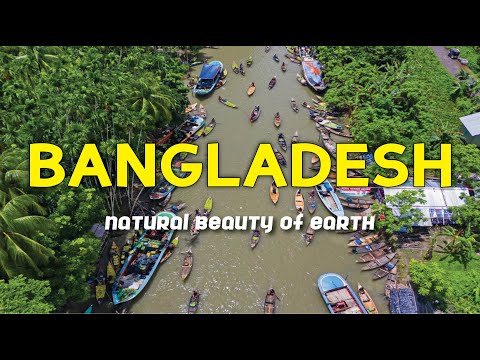 Bangladesh Travel Vlog | Natural Beauty Of The Earth | Beautiful Scenes | Cute Bank