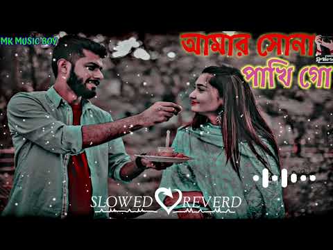 আমার সোনা পাখি গো🥰💗 Amar Sona Pakhi go|Bangladesh lo-fi song