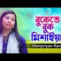বুকেতে বুক মিশাইয়া | Bukete Buk Misaiya | Horipriya Rani | Bangla Music Video 2023 | One Music Bd