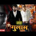 Naya Ghulam (Bava Nachadu) South Indian Hindi Dubbed Full Movie | Nagarjuna, Reemasen, Simran