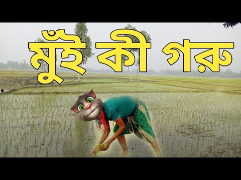 মুঁই কী গরু || Bangla Funny Video ||  Bangla Comedy Video || কালা মফিজ ||