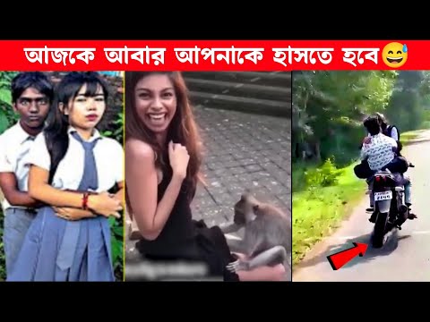 বানর ব্যাটা মহা ফাজিল🤭😂 funny video | funny facts | মায়াজাল | osthir bengali | অস্থির বাঙালি