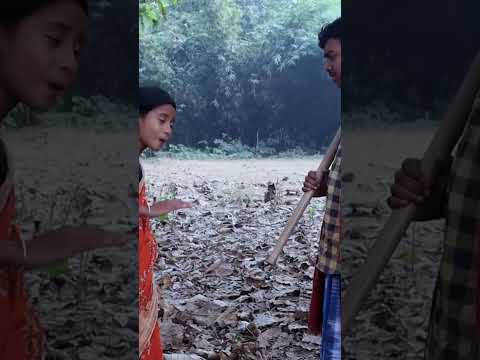 #shortsসফিক চালাকের পিকনিক  Sofik Chalaker Picnic | Bangla Funny Video  Sofik & Yasin Moner Moto TV