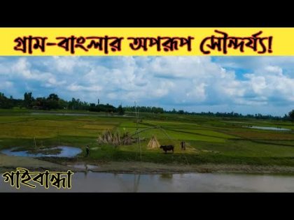 গ্রাম বাংলার অপরূপ দৃশ্য। Village Scenery of Bangladesh। Travel by Fahim