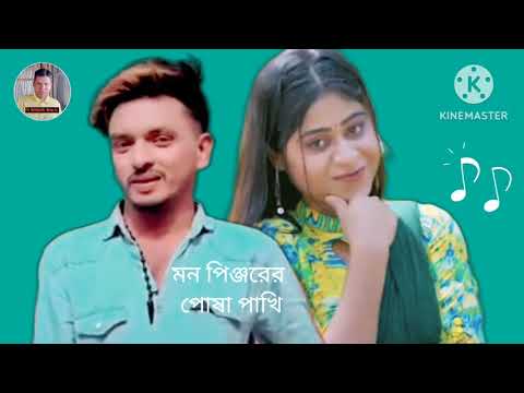 মন- পিঞ্জরের- পোষা- পাখি- Bangla music video- 2023 #banglasong #CMV