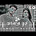 Jan Re Tui | জানরে তুই | Slowed + Revered | Bangla Lofi Song | Bangla Music Song