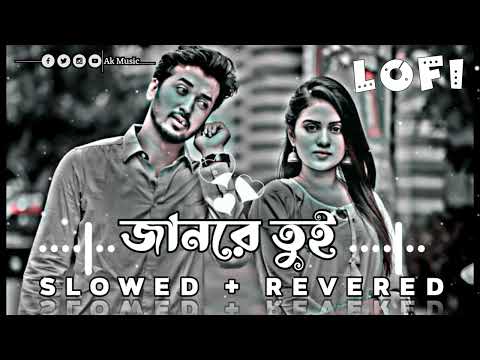 Jan Re Tui | জানরে তুই | Slowed + Revered | Bangla Lofi Song | Bangla Music Song