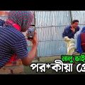 নালু ভাই আজকে নয়নের কাছে হাতেনাতে ধরা পড়ছে🤣 | Bangla Funny Video | Hello Video