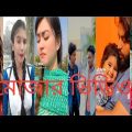 Bangla Tik Tok Videos | চরম হাসির টিকটক ভিডিও  | Bangla Funny TikTok Video | #Lix SHIHAB❤️🥰☠️🌹🏁🌍🔥