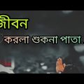 জীবন করলা শুকনা পাতা|jibon Kollam sukana pata|Lofi Bangla Song|[Mr Tanjil Ahmmed 01