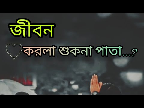 জীবন করলা শুকনা পাতা|jibon Kollam sukana pata|Lofi Bangla Song|[Mr Tanjil Ahmmed 01