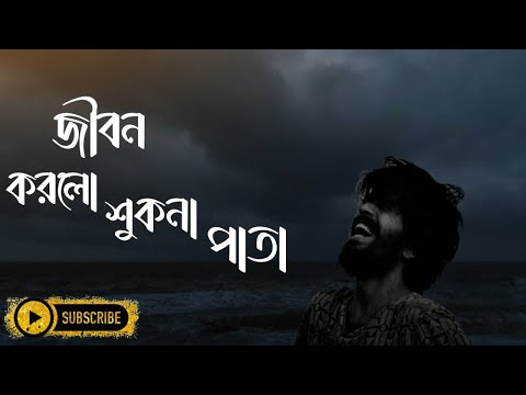 জীবন করলো শুকনা পাতা | jibon kollam aukana pata |Lofi Bangla Song |Hd Song Bd