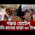 গরুর আবাসিক হোটেল; প্রতি রাতের ভাড়া ৬০ টাকা | Cow Hotel | Bangla News | Mytv News