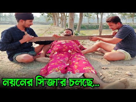 সি'জা'র করে নয়নের তিনটি ছেলে সন্তান হলো😂 | Bangla Funny Video | Hello Noyon