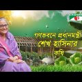 গণভবনে প্রধানমন্ত্রী শেখ হাসিনার কৃষি | Sheikh Hasina | Prime Minister of Bangladesh | Shykh Seraj |