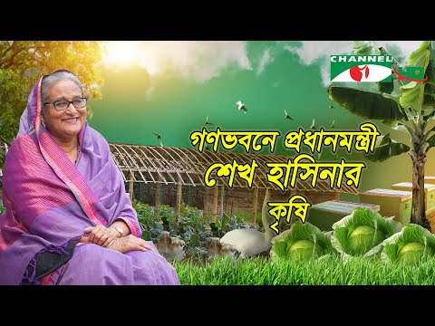 গণভবনে প্রধানমন্ত্রী শেখ হাসিনার কৃষি | Sheikh Hasina | Prime Minister of Bangladesh | Shykh Seraj |