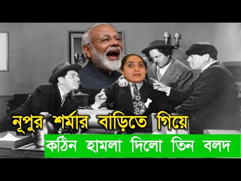 নূপুর শর্মার বাড়িতে কঠিন হামলা দিলো তিন বলদ | Three stooges bangla funny video | 3 bolod bangla