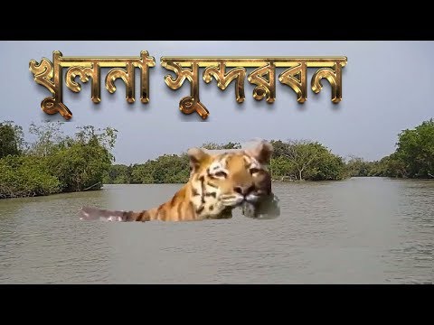 খুলনা সুন্দরবন ভ্রমণ sundarban travel at khulna in   Bangladesh