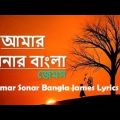 Shonar Bangladesh | সোনার বাংলাদেশ | Aly Hasan | Rap Song 2022 | Official Bangla Music Video 2022