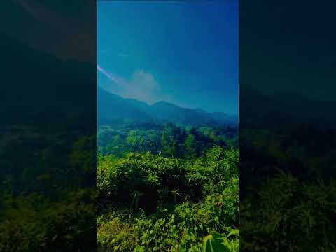 Bandarban to Thanchi | Hidden nature heaven in Bangladesh | listen to nature #travel #bangladesh