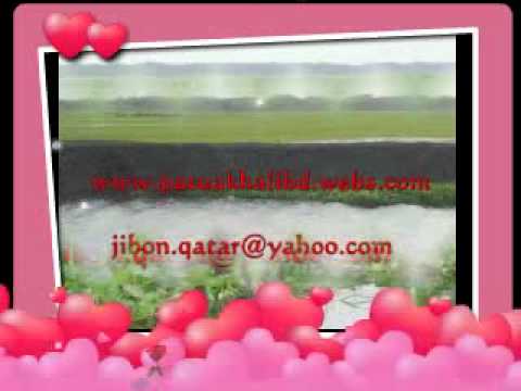 bangla song ridoy amar bangladesh habib jibon.qatar@yahoo.com.flv