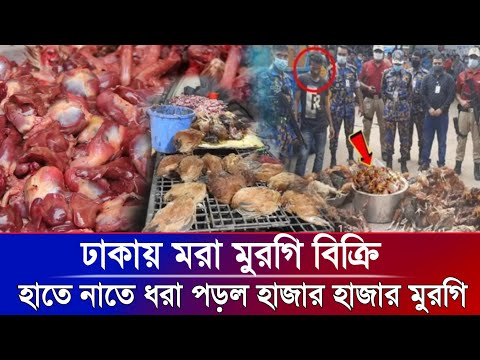 মরা মুরগি কে খায়? | Onusondhan O Somadhan | Crime Investigation News | BD News । bangla news