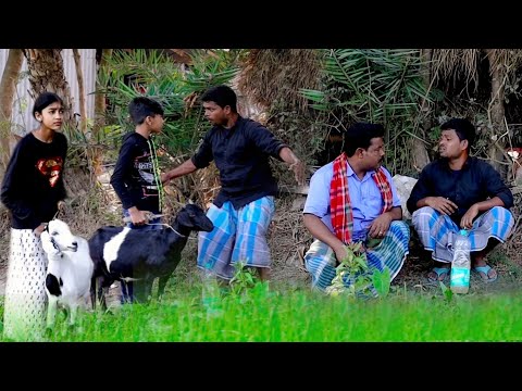 বিল্টারের পাঠা পোষা বদনাম দিলো ইন্তাজুল (new comedy video)