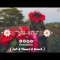 Tumi Chara|তুমি ছাড়া|(Lyrics)Lofi Bangla Song|Lofi Bangla Music|[Lofi&Slowed&Reverb]Tarekuzzaman|√