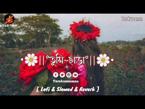 Tumi Chara|তুমি ছাড়া|(Lyrics)Lofi Bangla Song|Lofi Bangla Music|[Lofi&Slowed&Reverb]Tarekuzzaman|√