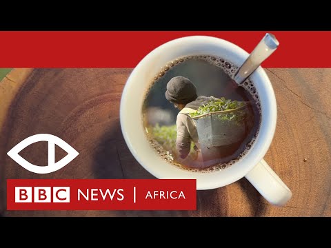 Sex for Work: The True Cost of Our Tea – BBC Africa Eye documentary