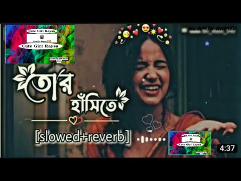 তোর হাঁসিতে।(lofi) bangla song