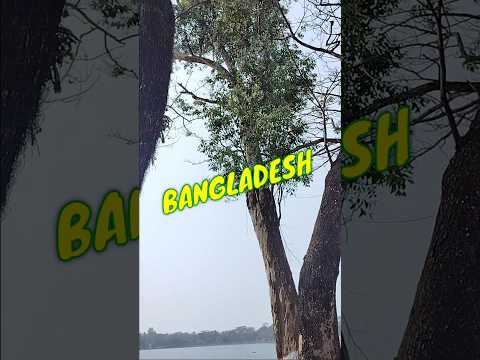 BANGLADESH #shorts #youtubeshorts #travel #bangladesh  #shortvideo