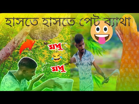 Modhu para , মধু পারা , মৌমাছি, bangla funny video