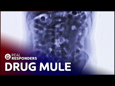 Drug Mule Caught After Full Body Scan | Customs | Real Responders