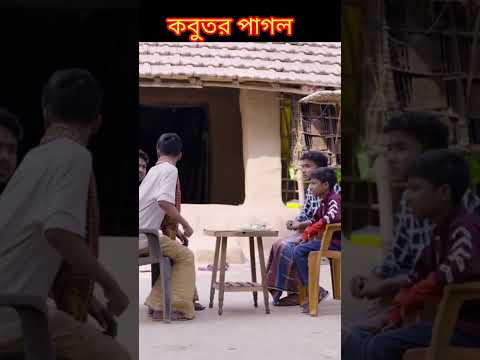 #shorts কবুতর পাগল Kabutor Pagol | Bangla Funny Video | Riyaj & Bishu | Palli Gram TV Latest Comedy