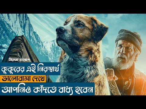 The Call Of The Wild Bangla Explained | Full Movie Stroy Explain in Bangla | Movies Mirror