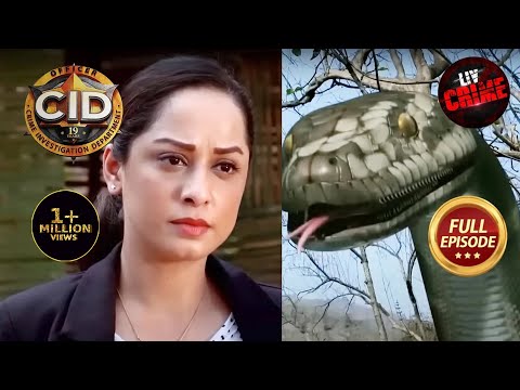 Women Task Force | Purvi Gives A Tough Fight Against An 'Anaconda Man' | CID | 7 March 2023