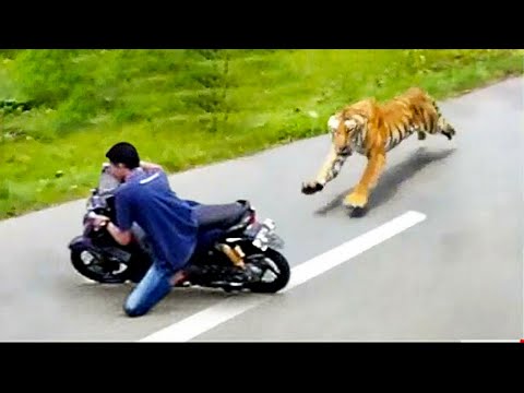 ক্যামেরায় ধরাপড়া অনন্য ঘটনা | Caught on camera | Funny Video | Bangla Facts | Odvut Knowledge