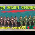 হৃদয়ে আমার বাংলাদেশ স্বপ্ন আমার বাংলাদেশ। Hridoye amar Bangladesh a Patriot song by Habib Wahid.